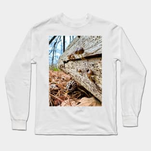 Mushrooms on log Long Sleeve T-Shirt